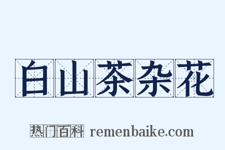 白山茶杂花是什么意思的图片